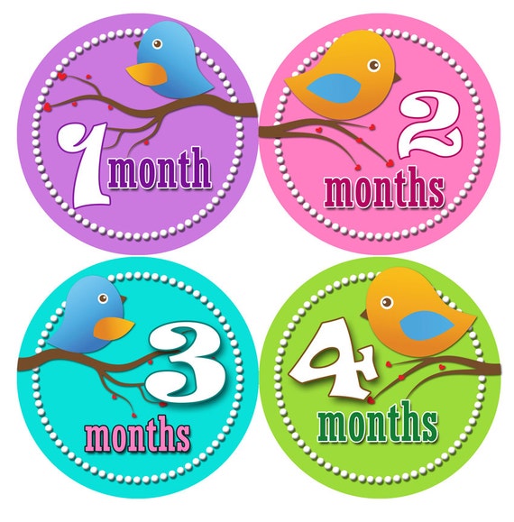 Baby Month Stickers - First Year Belly Stickers - Baby Month Stickers - Month to Month Stickers for Baby - Baby Shower Stickers GIRL BIRDIES