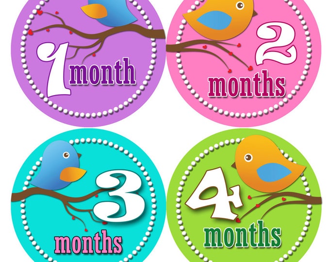 Baby Month Stickers - First Year Belly Stickers - Baby Month Stickers - Month to Month Stickers for Baby - Baby Shower Stickers GIRL BIRDIES