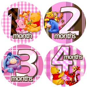 Winnie the Pooh Baby Monthly Milestone Stickers: 1-12 Months - Etsy