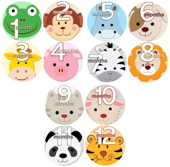 month to month baby stickers - Baby monthly stickers 1 to 12 months - Bodysuit Romper Stickers - Monthly Baby Stickers - ANIMAL FACES