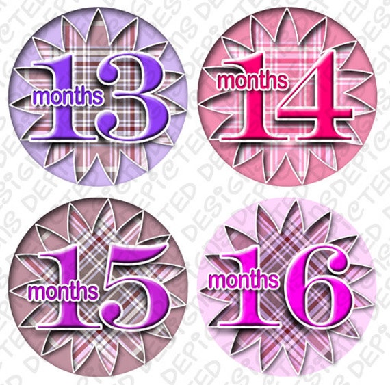 13 to 24 month baby photo stickers monthly baby stickers 4 inch Belly Stickers for newborn Baby Shower Gift Idea sticker set - GIRLS GINGHAM