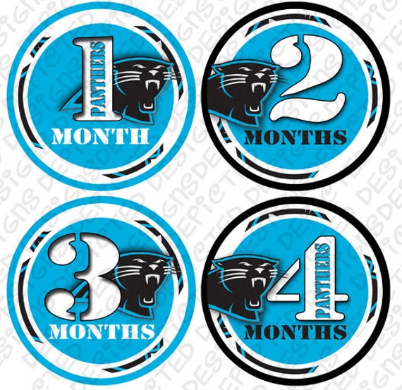 Month to Month Baby Stickers - Baby monthly stickers 1 to 12 months - Bodysuit Romper Stickers - Monthly Baby Stickers - PANTHERS