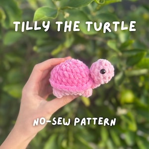 May include: A small, pink, crocheted turtle plush toy with a textured, yarn-based shell and head, featuring black plastic eyes. The text TILLY THE TURTLE and NO-SEW PATTERN is displayed in white letters against a blurred green foliage background.