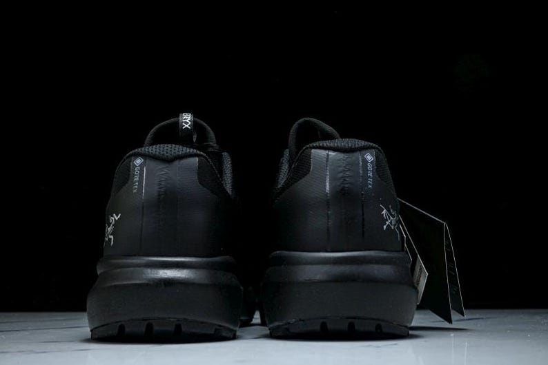 May include: A pair of black athletic shoes with a thick sole, viewed from the back. The shoes have the word "GORE-TEX" printed on the side and a logo. A tag hangs from one shoe.