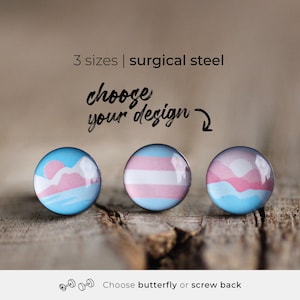 Dezente Transgender Pride Ohrstecker, Ohrstecker aus chirurgischem Stahl, LGBTQ Pride Post Ohrring, Trans Landschaft Ohrstecker, Transgender Geschenk
