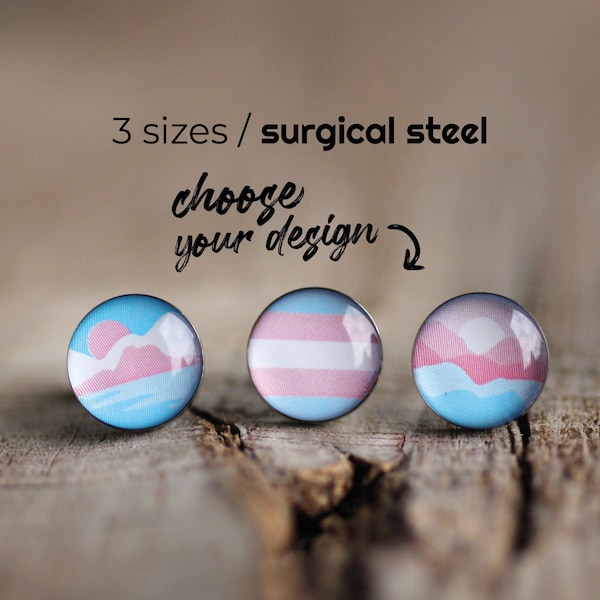 Subtle transgender pride earring studs, Surgical steel studs, LGBTQ pride post earring, trans landscape earring stud, Transgender gift