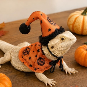 Skäggagame Halloween-kostym, orange reptilhatt och kappa, ödladräkt