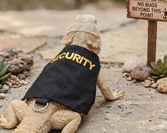 Bearded Dragon Harness Leash Set, Reptile Explorer Vest, Adjustable Canvas Lizard Clothes, Security Costume