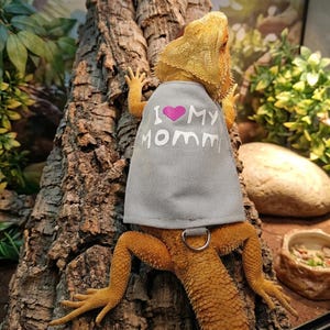 Puede incluir: Un lagarto barbudo con una capa gris con el texto "I ❤️ My MOMM" en letras blancas y un corazón rosa. El lagarto está posado en un tronco de árbol texturizado, con un pequeño cuenco visible en el fondo.