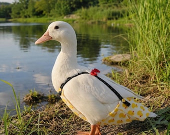Cotton Duck Diaper, Adjustable Poultry Nappy, Chicken Goose Clothing, Photo Prop
