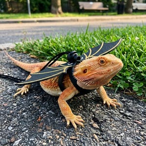 Dragon Wing Bearded Dragon Harness, Adjustable Reptile Leash Set, Fantasy Lizard Accessory