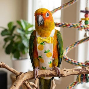 May include: A vibrant parrot with orange, yellow, and green plumage perches on a branch. The bird is wearing a white bib decorated with yellow pineapples and a matching yellow bow tie. The background is blurred.