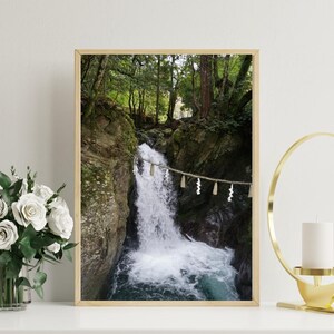Transport yourself to the mystical forests of Japan.