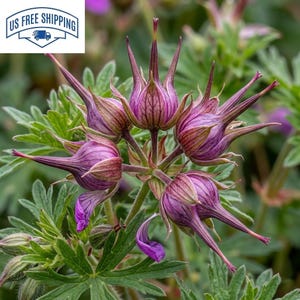 May include: A set of three ceramic mugs with a speckled, matte finish. The mugs are in shades of cream, light gray, and dark gray. Each mug has a simple, minimalist design, perfect for coffee or tea.