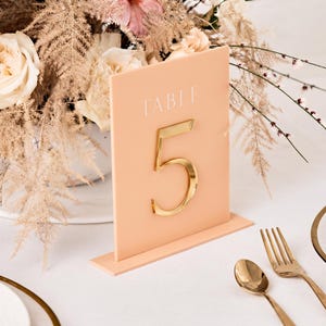 May include: A rectangular peach-colored acrylic table sign featuring the white text "TABLE" above a large, three-dimensional, reflective gold-colored numeral "5" attached to the center of the vertical panel, supported by a matching base.