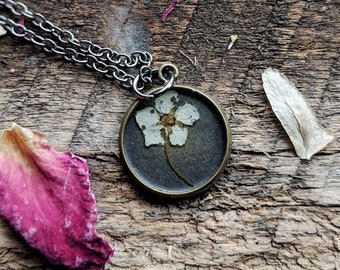 ON SALE real pressed flower necklace cream wildflower extra small circle brass toned bezel nature natural wedding woodland jewelry christmas