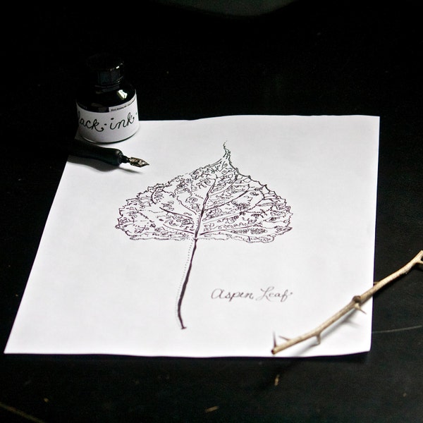 original black and white ink drawing aspen leaf. woodland floral. botanical. detailed. imagination.