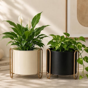 Set mit 2 Metall-Pflanzgefäßen, schwarz-elfenbeinfarbene Töpfe mit goldenem Ständer, moderne Zimmerpflanzentöpfe