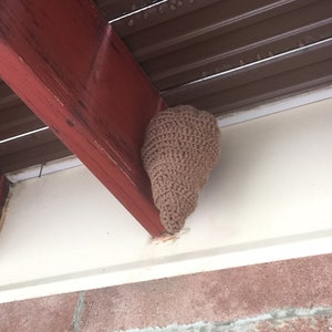 Puede incluir: Una colmena de crochet marr&oacute;n colgada de una viga de madera bajo un toldo de metal marr&oacute;n.