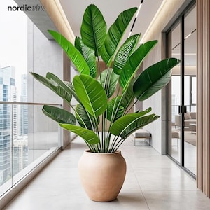May include: A large potted plant with vibrant green leaves. The plant is in a beige, rounded pot, placed on a tiled floor. The background shows a modern interior with glass walls and a cityscape view. The brand name "nordicvine" is visible.
