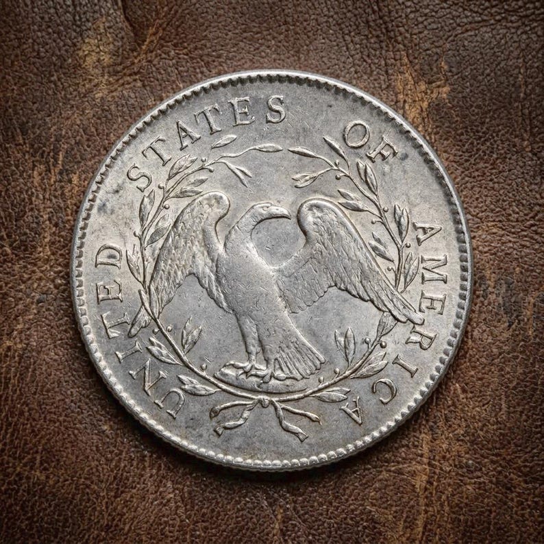 May include: A silver coin featuring an eagle with outstretched wings, surrounded by the words "UNITED STATES OF AMERICA." The coin is set against a brown leather background, highlighting its details.