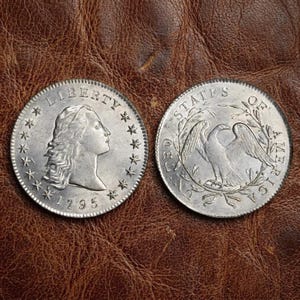 May include: Two silver coins, one displaying "LIBERTY" and the year "1795", the other featuring an eagle and the words "UNITED STATES OF AMERICA". The coins are set against a brown leather background.