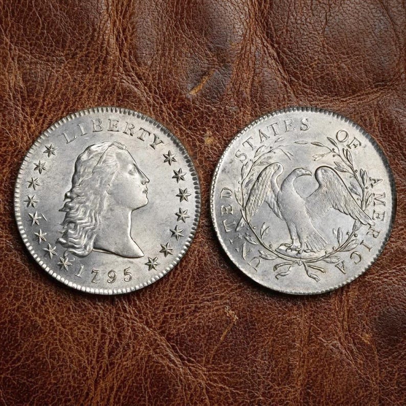 May include: Two silver coins, one displaying "LIBERTY" and the year "1795", the other featuring an eagle and the words "UNITED STATES OF AMERICA". The coins are set against a brown leather background.