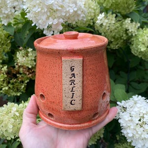 May include: A handmade, speckled orange ceramic garlic keeper with a lid. The keeper has a rectangular label that reads "GARLIC" vertically. It features several small holes for ventilation. The background includes white and green flowers.