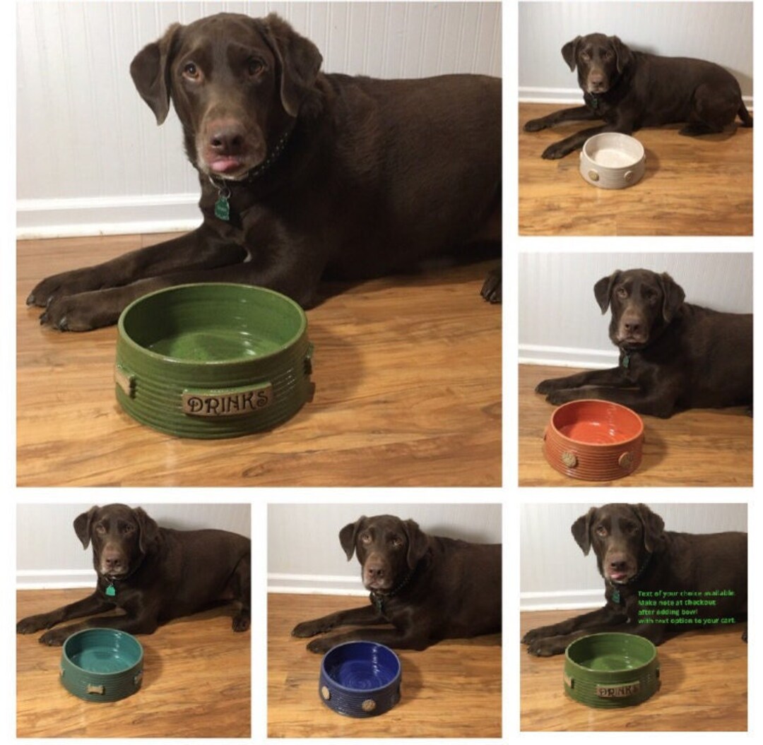 Custom XL Dog Bowl Extra Large Pet Bowl One Custom Bowl With Text