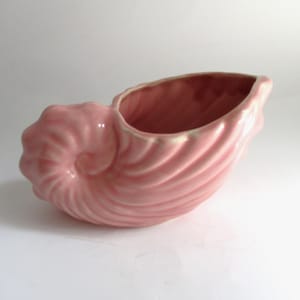 May include: A pink ceramic seashell-shaped planter. The planter has a spiral design on the exterior and a smooth interior. The opening is oval-shaped. The planter is a light pink color.