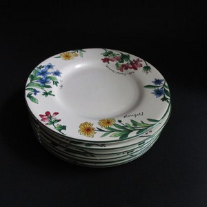 Vintage Dessert Plates Set of 6 Stoneware Sakura Majesticware Floral Design