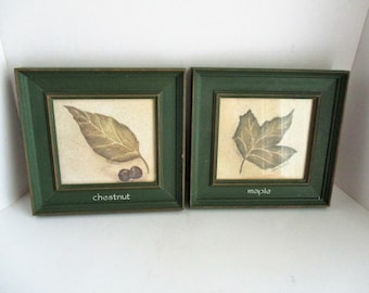 Vintage Framed Prints Set of 2 Mary Hughes Watercolor Maple Chestnut Leaf Wall Art