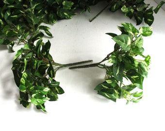Vintage Ivy Artificial Variegated Stems 4 AVAILABLE Small Green Faux Floral Picks