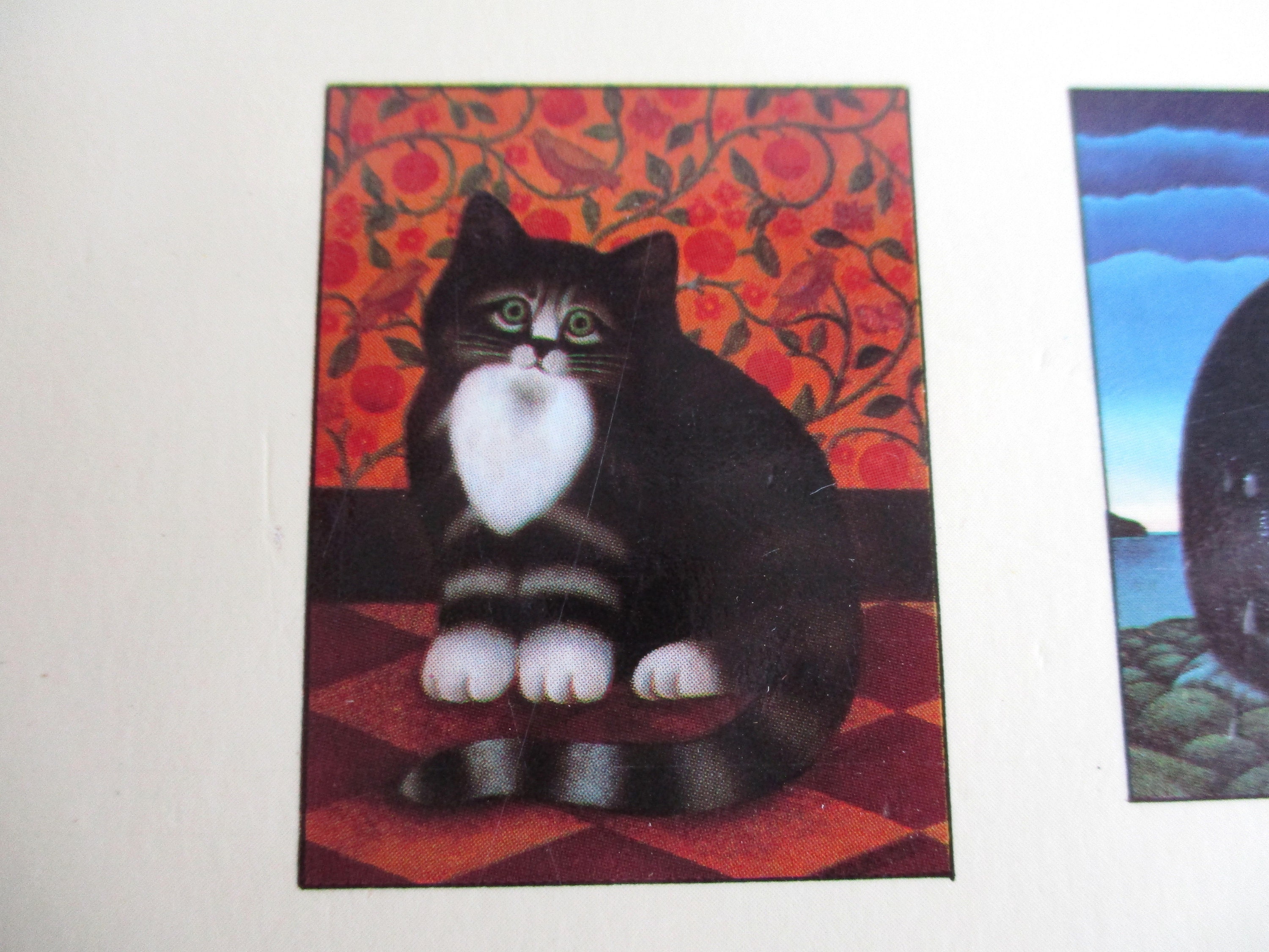 その他 MARTIN LEMAN'S CATS Martin Leman's Painted Cats: Leman, Martin: 9780720718089