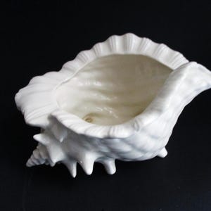 May include: A white ceramic seashell-shaped planter with a textured surface. The planter has a ruffled edge and a detailed, spiky base. The interior is smooth and off-white, perfect for small plants or decorative items.
