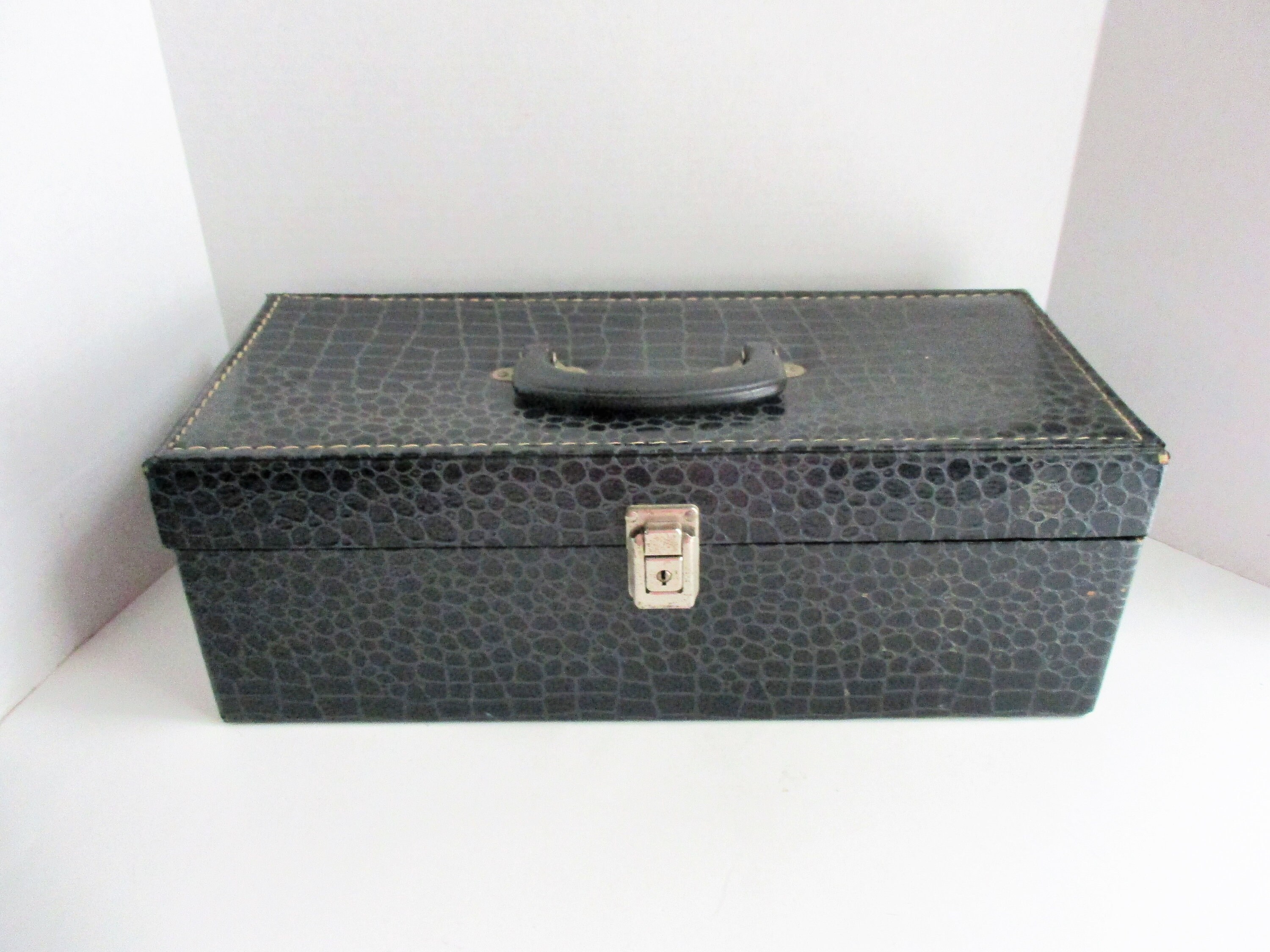 reptile carrying case