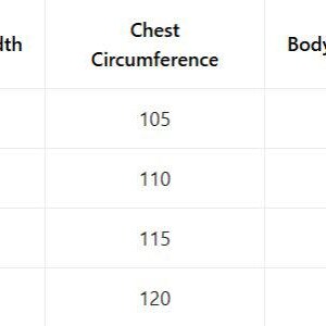 May include: A white chart with black text detailing clothing measurements. The chart includes sizes L, XL, 2XL, and 3XL. Measurements include shoulder width, chest circumference, body length, and sleeve length, all in centimetres.
