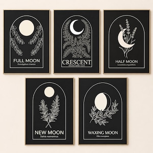 Könnte beinhalten: Fünf gerahmte Kunstdrucke mit schwarzem Hintergrund und goldenen Rahmen. Jeder Druck zeigt eine andere Mondphase mit botanischen Illustrationen und Text in Weiß. Die Phasen umfassen Vollmond, Sichel, Halbmond, Neumond und zunehmender Mond.