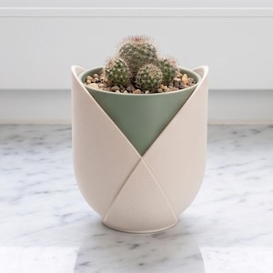 May include: A small green cactus planted in a sage green inner pot, which is encased in a matte cream-coloured outer shell featuring a petal-like overlapping design. The plant sits upright, displaying multiple rounded, spiky green segments.