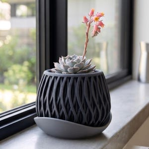 May include: A dark grey, spherical planter with a vertical, wavy, open-lattice design. The planter sits on a matching smooth, shallow, grey saucer. A pale green succulent with a tall, slender stem topped with small, orange-pink flowers is inside.