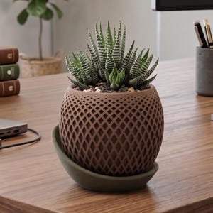 May include: A Haworthia succulent plant with green and white striped leaves potted in a brown, spherical planter with a lattice-like geometric pattern, resting on a dark olive green saucer base.