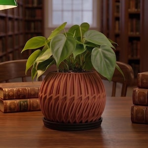 May include: A round, terracotta-coloured planter with a textured, vertical ribbed pattern and a black circular base tray. The planter holds a vibrant green heart-leaf philodendron plant with multiple broad, pointed leaves.