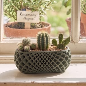 May include: An oval-shaped, sage green planter with a complex, open-work lattice exterior design. The planter is filled with light brown soil and contains three distinct green cacti: a cluster of small round cacti, a central columnar cactus, and a flat-padded cactus.