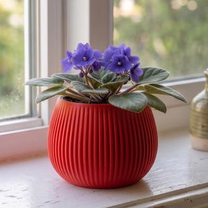 May include: A vibrant African violet plant with deep purple flowers and green leaves, potted in a round, bright red planter featuring a vertical ribbed texture. The plant sits on a white windowsill next to a small, speckled ceramic oil cruet.