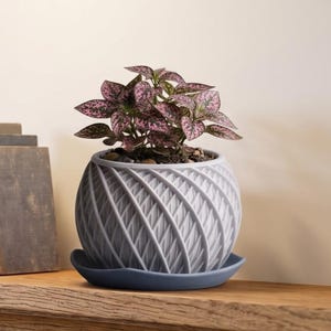 Modern Planter With Drainage Holes and Drip Tray. Minimalist Indoor Decorative Vortex Flower Pot Plant and Saucer :  Home Décor