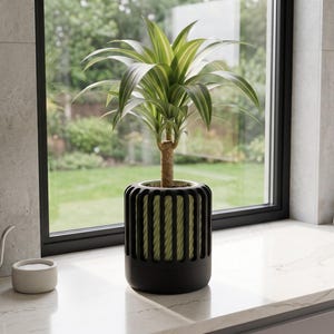 May include: A green houseplant with long, pointed, variegated leaves sits in a cylindrical black planter. The planter features a cage-like exterior design with vertical slats that reveal a light green, textured inner pot surface.