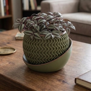 May include: A green, patterned planter with a matching saucer holds a small plant with green and purple leaves. The planter sits on a wooden table, with a notebook and small brass trays nearby. The overall theme is home decor.