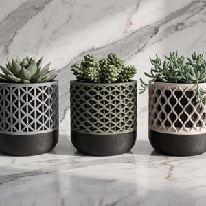 May include: Three cylindrical planters with black bases and intricate lattice-patterned upper sections in light grey, sage green, and cream. Each planter holds a different green succulent plant, displaying varied leaf shapes and textures.