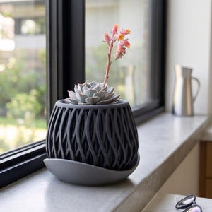 May include: A dark grey, spherical planter with a vertical, interwoven lattice pattern. The planter sits on a matching light grey, curved saucer. A pale green succulent with a single, tall stem featuring small, orange-pink flowers is planted inside.