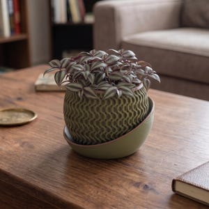May include: A round, olive green planter with a textured, wavy, vertical pattern on its exterior surface. The planter sits inside a smooth, matching olive green saucer that is angled upwards on one side. A Tradescantia zebrina plant grows inside.